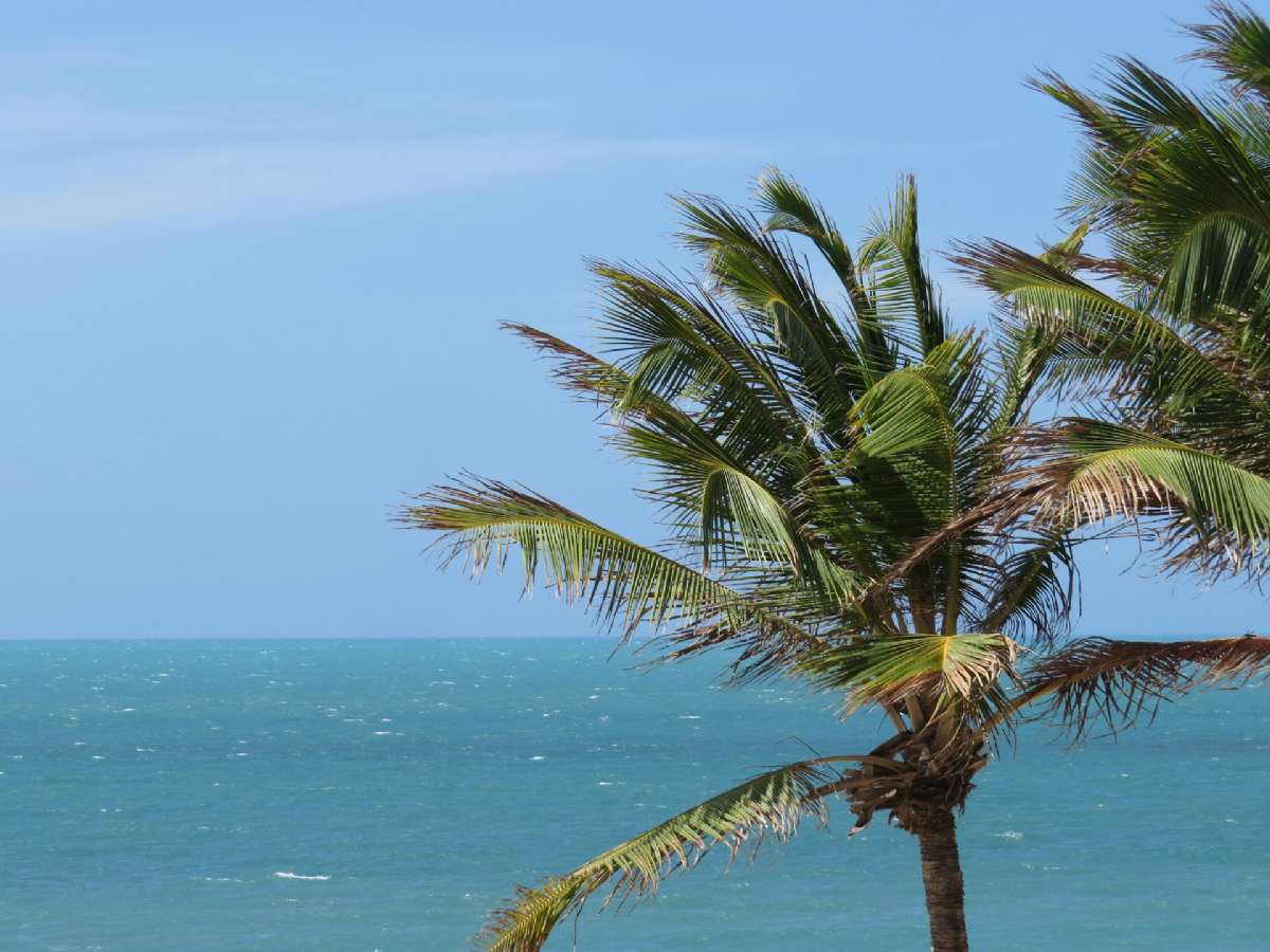 O melhor de Fortaleza|CE, com passeios